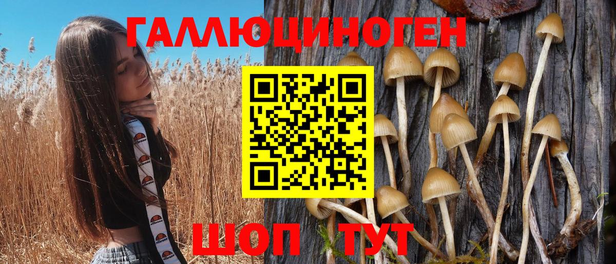 Галлюциногенные грибы Magic Shrooms  Вход с VPN  Кудымкар  Галлюциногенные грибы MAGIC MUSHROOMS 